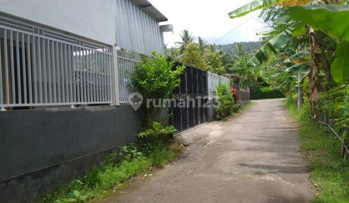 Investasi Tanah 7415m2 Desa Temukus Banjar Buleleng 2