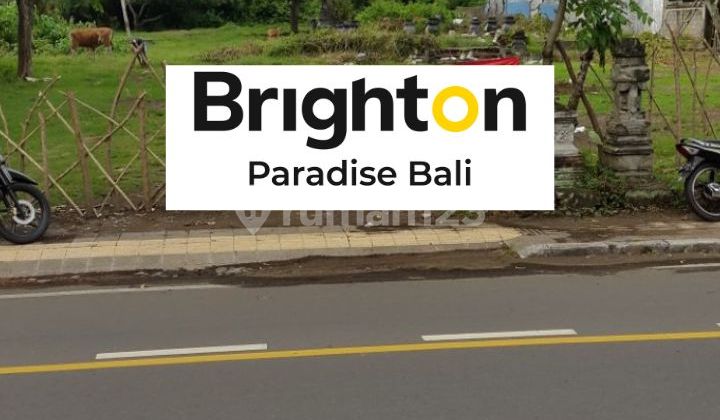 Tanah 2250m2 Dekat Kantor Bupati Negara Jembrana