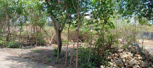 Fast Cheap Land Plot 365m2 Puri Gading Jimbaran 2