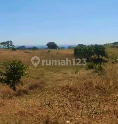 Tanah 7 Hektar View Laut Loloan Bayan Lombok Utara Nusa Tenggara Barat Tanah 7 Hektar View Laut Loloan Bayan Lombok Utara Nusa Tenggara Barat