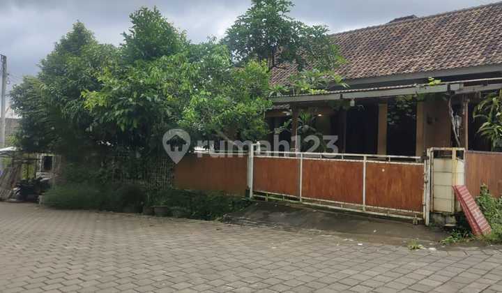 Rumah Hadap Timur Laut 3 Kamar Cempaka Kuning Tabanan