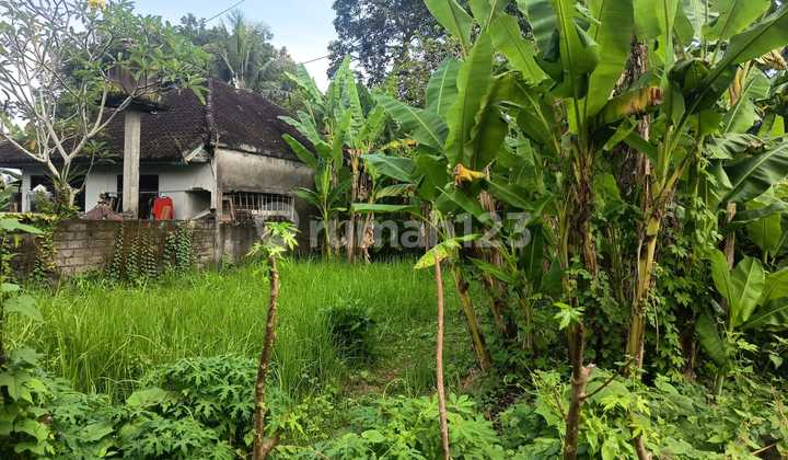 2 Ares Land in Kutuh, Kerambitan, Tabanan