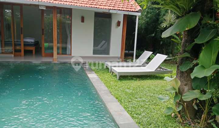 Annual Monthly Villa West Facing 2 Bedrooms Canggu Badung