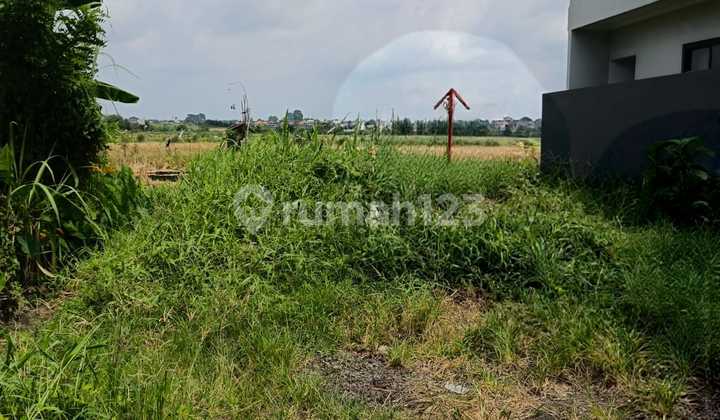 Land 1 Are Ready to Build Kesiman Kertalangu East Denpasar