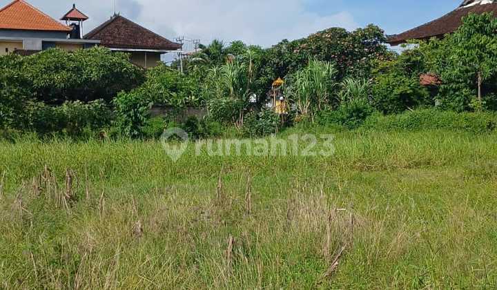 20 Tahun Tanah 10 Are Pulau Moyo Denpasar Selatan 20 Tahun Tanah 10 Are Pulau Moyo Denpasar Selatan