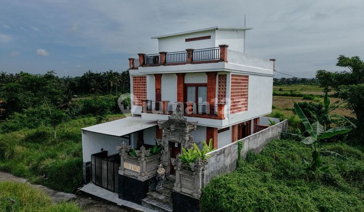 Villa Mewah 3 Kamar Keramas Gianyar