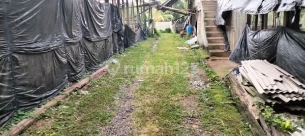 Tanah 40 Are Gadung Sari Selemadeg Timur Tabanan