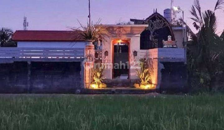 Rumah Style Villa Full Furnished Jineng Angkul Angkul 1 Lantai 2 Kamar Pemaron Munggu 2