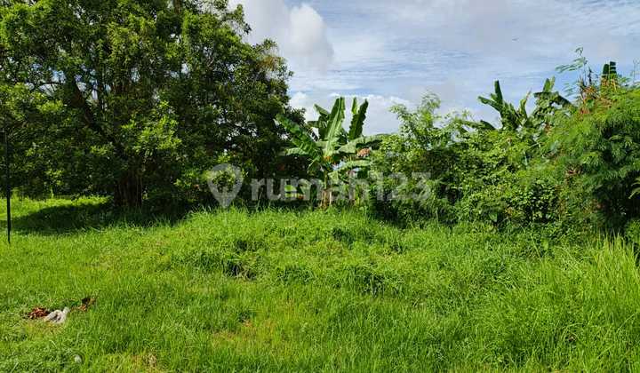 Land 23430M2 Denpasar Gilimanuk Tabanan Main Road Land 23430M2 Denpasar Gilimanuk Tabanan Main Road