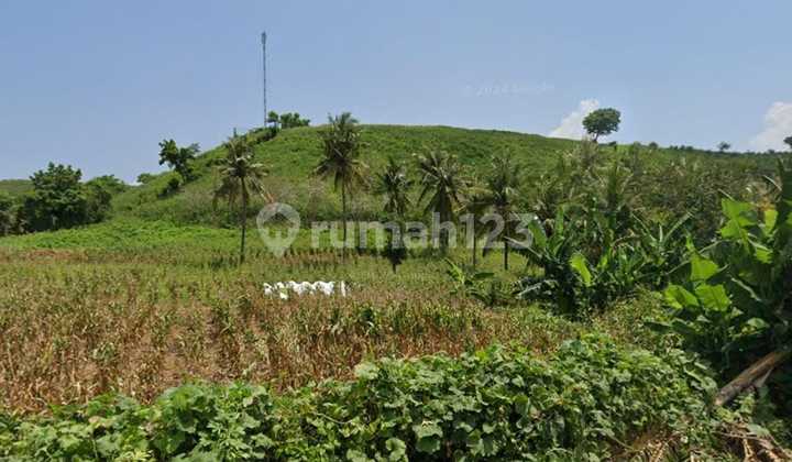 Tanah 204 Are Ekas Jerowaru Lombok Timur Nusa Tenggara Barat Tanah 204 Are Ekas Jerowaru Lombok Timur Nusa Tenggara Barat