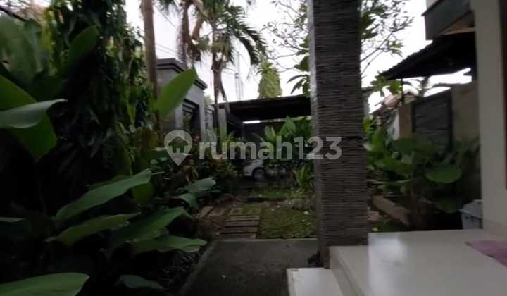 Rumah Hadap Timur 3+1 Kamar Renon Denpasar Selatan Rumah Hadap Timur 3+1 Kamar Renon Denpasar Selatan