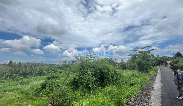 Dijual Tanah 1940m2 Lahan Kering Desa Batuaji Tabanan 1