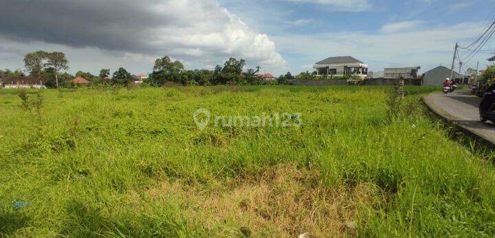 Long Term Min 30 Years Land 1225m2 Buduk Mengwi Badung