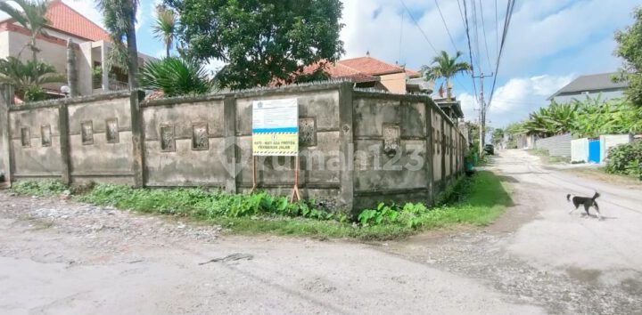 Rumah Tinggal 5+1 Kamar Jalan Cargo Kenanga Ubung Kaja 2