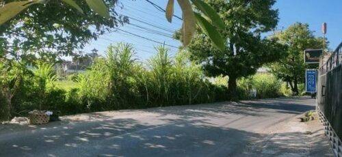 Land for Rent 30 Are Sidakarya South Denpasar 1