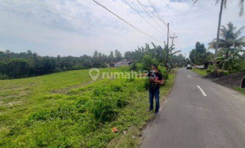Investasi Tanah Murah 32 Are Megati Tabanan 1