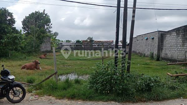 Tanah 8 Are Hadap Utara Pulau Moyo Pedungan Denpasar Selatan Tanah 8 Are Hadap Utara Pulau Moyo Pedungan Denpasar Selatan