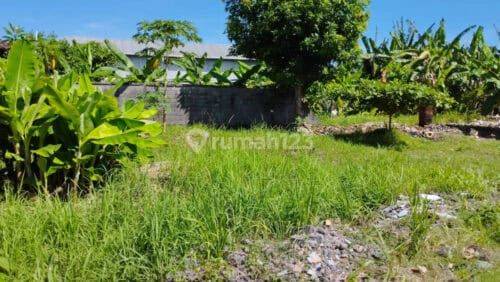 Land Contract 7.5 Are Jalan Bypass Ngurah Rai Benoa Suitable For Warehouse Shop Office