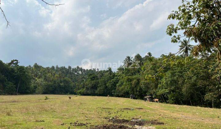 Tanah 5 Are Lalanglinggah Selemadeg Barat Tabanan 1