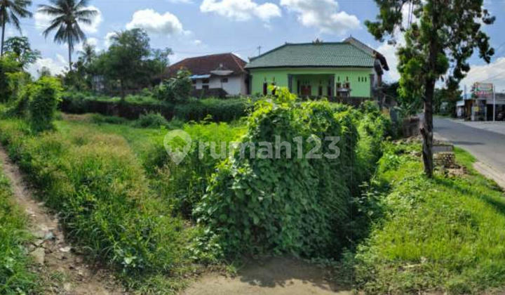 Min 5 Years, 6 Are Land, West Facing, Rangdu Seririt Buleleng Bali