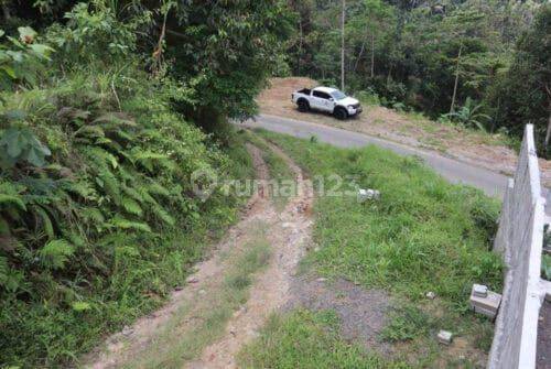 Tanah 87 Are Apuan Baturiti Tabanan View Sawah Dekat Jatiluwih 1