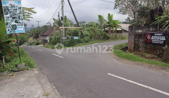 Land 50 Are Munduk Lumbang Baturiti Tabanan Hot Spring River