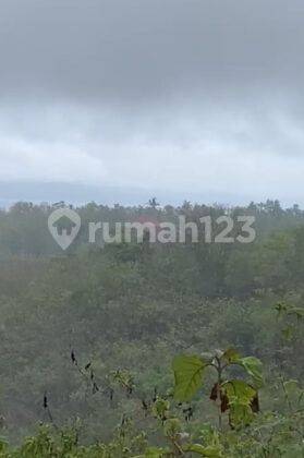 Tanah 550 Are Ped Sental Kangin Nusa Penida Dekat Pelabuhan Buyuk 1