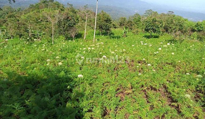 Land for Gardens in Banjar Buleleng Bali 7.5 Ha 2