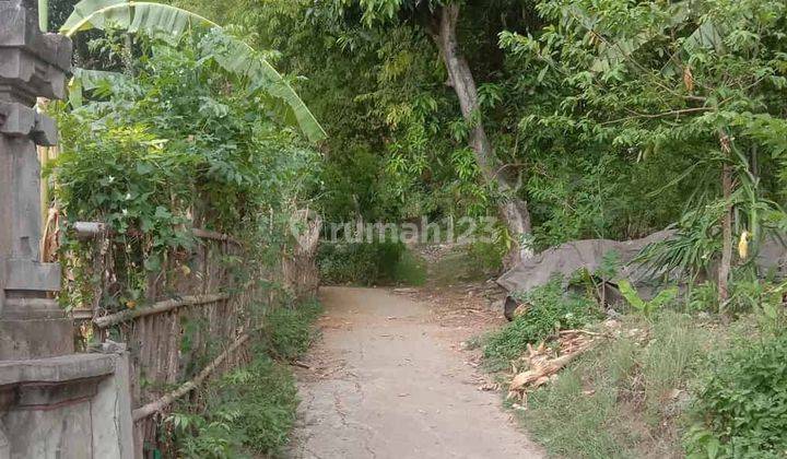Tanah Dataran Tinggi 39 Are Seririt Buleleng 1