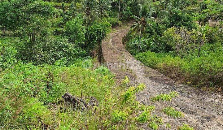 Tanah Panjaban Ocean View Pemandangan Laut Dan Bukit Teletubbies Nusa Penida 2