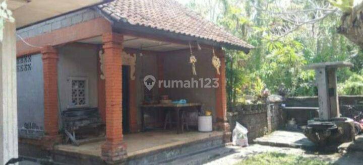 Tanah 4 Are Free Bangunan Mengwi Dekat Kolam Pura Taman Ayun 2