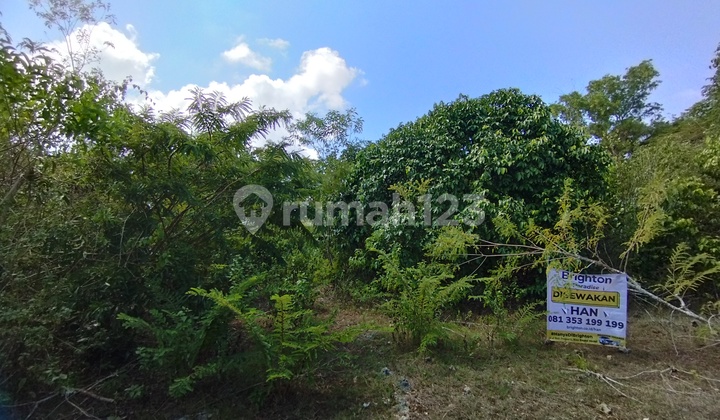 Min 10 Years Land 4 Ares in Ungasan: Min 10 Years Land 4 Ares in Ungasan: