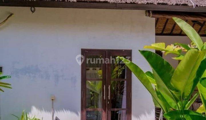 Tahunan Balinese Style Villa 1 Kamar Dapur Ruang Tamu Terbuka Jalan Pantai Balangan Jimbaran 2