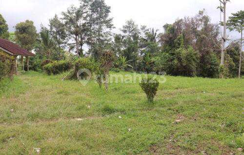 Tanah 87 Are Apuan Baturiti Tabanan View Sawah Dekat Jatiluwih 2
