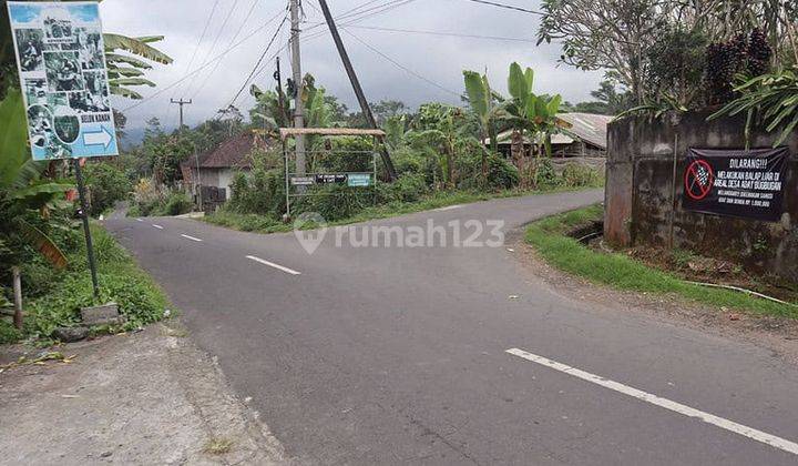 Tanah 50 Are Munduk Lumbang Baturiti Tabanan Hotspring Sungai 1