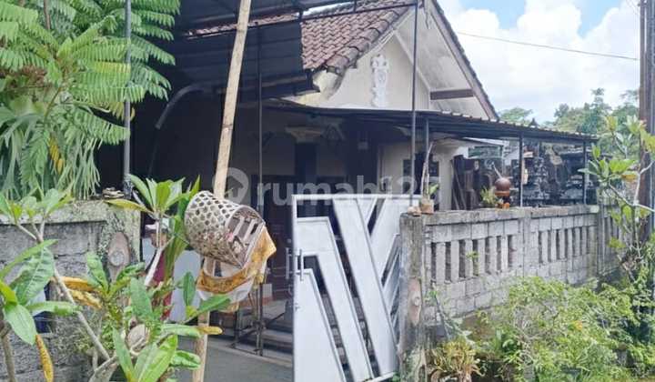 Modern Cozy 1 Bedroom House Samsam Kerambitan Tabanan Modern Cozy 1 Bedroom House Samsam Kerambitan Tabanan