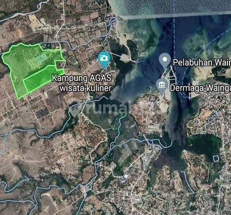 Investasi Tanah 10 Hektar Sumba Timur NTT 2