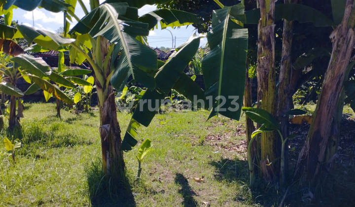 7.5 Are Land on Jalan Bypass Ngurah Rai Benoa