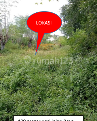 Tanah Kebun Tegal 179 Are Sawan Buleleng Tanah Kebun Tegal 179 Are Sawan Buleleng