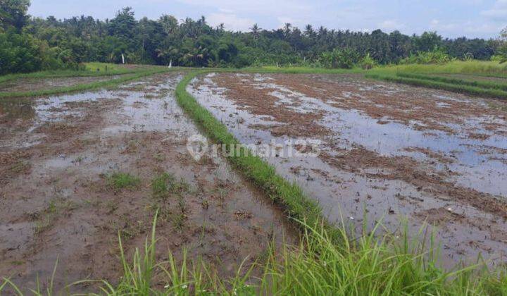 1.06 Hectare Residential Land View Mountain Rice Fields Near Soka Mengwi Selemadeg Tabanan Ring Toll Road 2