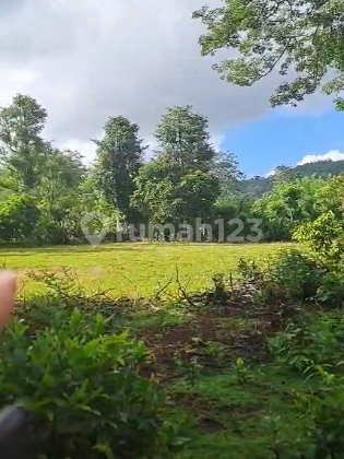 Tanah 1660M2 Pantai Balangan Jimbaran Tanah 1660M2 Pantai Balangan Jimbaran