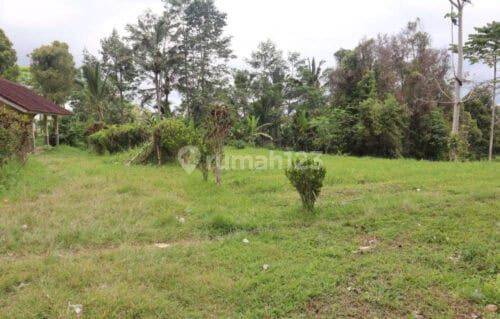 Tanah 87 Are Apuan Baturiti Tabanan View Sawah Dekat Jatiluwih 2