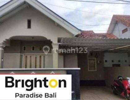 Rumah Minimalis Modern 1 Lantai 3 Kamar Muding Kerobokan 1