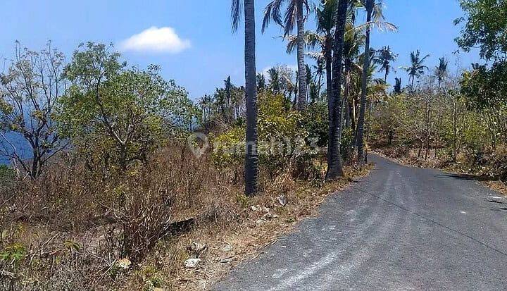 Tanah 183 Are Hadap Timur Suana Nusa Penida Klungkung 2