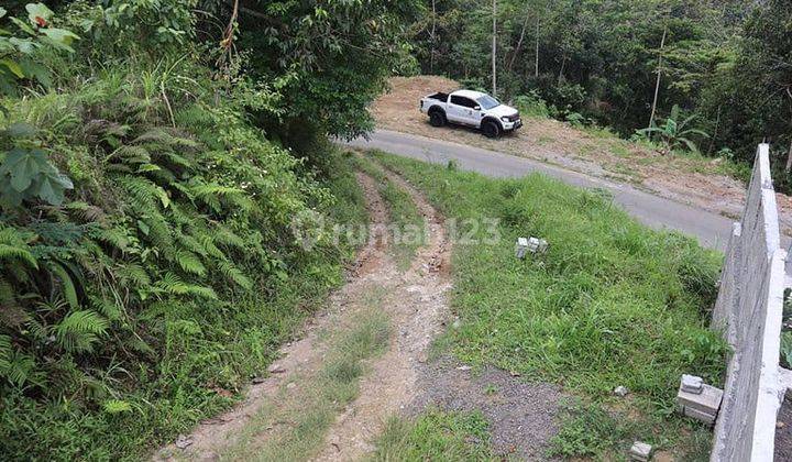 Tanah 87 Are Apuan Baturiti Tabanan View Sawah Dekat Jatiluwih 1