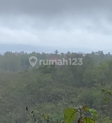 Tanah 550 Are Ped Sental Kangin Nusa Penida Dekat Pelabuhan Buyuk