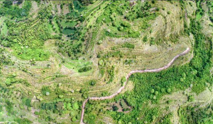 Tanah Panjaban Ocean View Pemandangan Laut Dan Bukit Teletubbies Nusa Penida 1