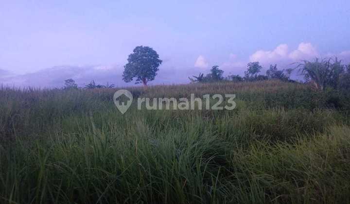 Land 25 Ares Kaba Kaba Kediri Tabanan