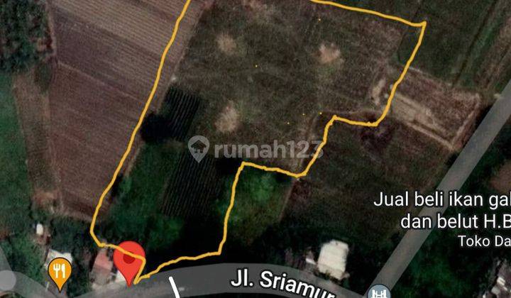 Dijual Tanah Kavling Luas 6600m² di Sriamur Tambun Utara Bekasi 2