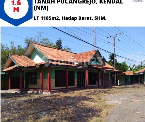 rumah orientasi tanah cocok untuk usaha pucangrejo